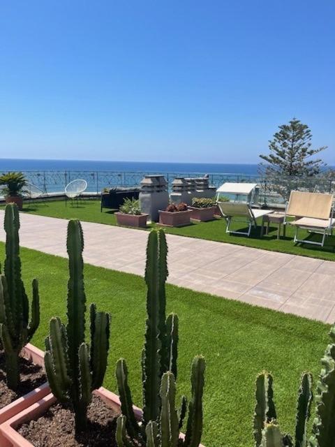Hotel Lolli Palace 3*